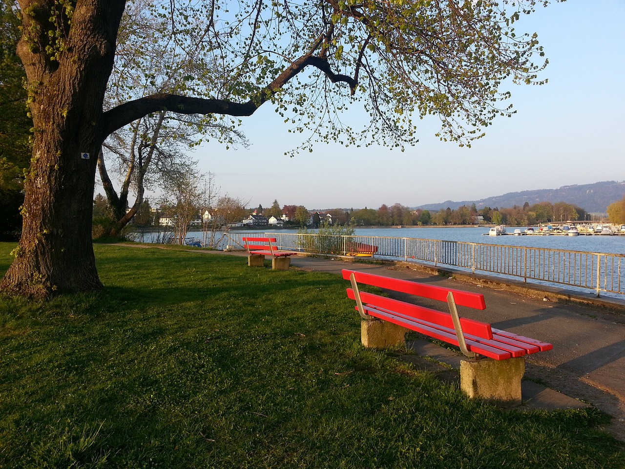 img3.webp